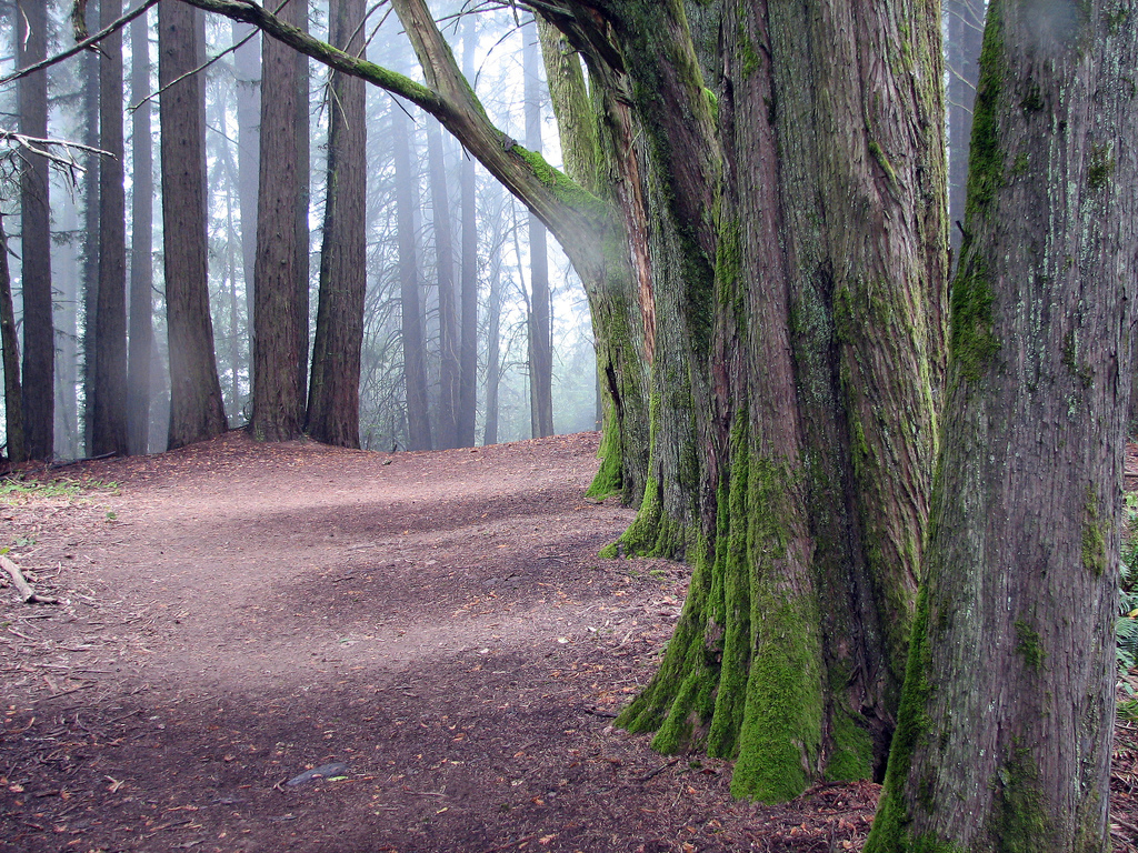 Hiking and Nature Photo